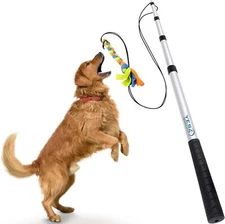 Flirt Pole for Dogs - Safe & Strong for Large Breeds w/Non-Bungee Cord - Spri...