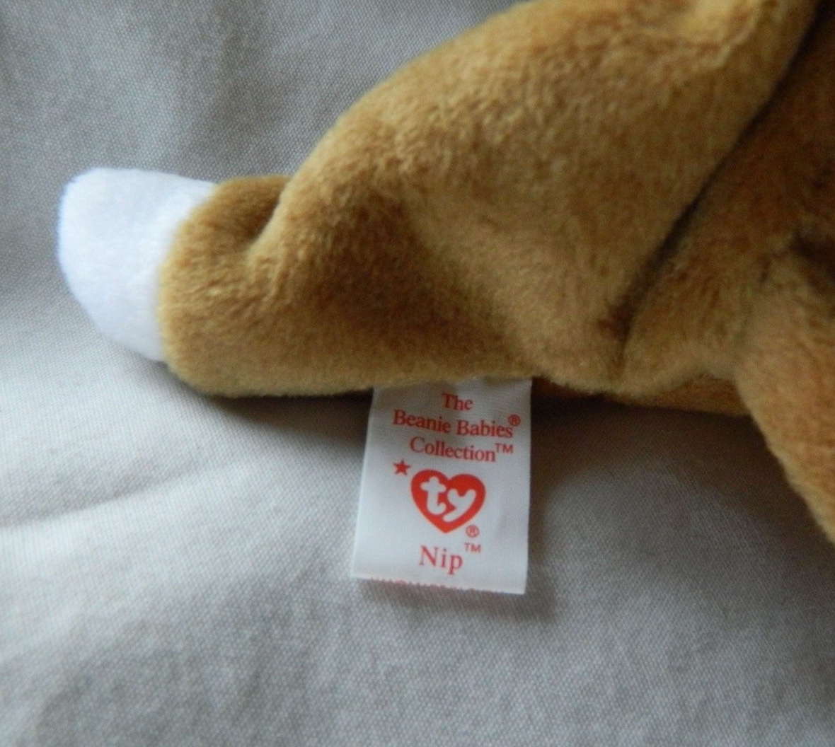 Bild 6 von 6