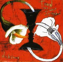 Dulcinea von Toad the Wet Sprocket | CD | Zustand sehr gut