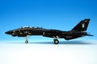 Century Wings Grumman F-14A Tomcat USN VX-4 Vandy 1/Black Bunny, 1/72, CW-001642 — photo 4