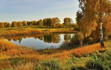 Landscape lake birch trees fall dry Custom Gaming Mat Desk