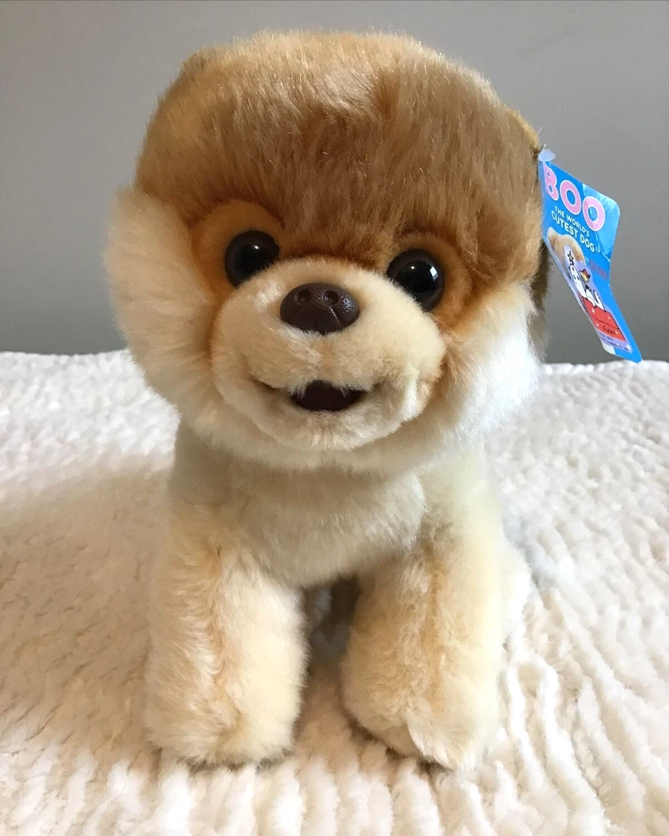 Boo the cheap pomeranian stuffed animal