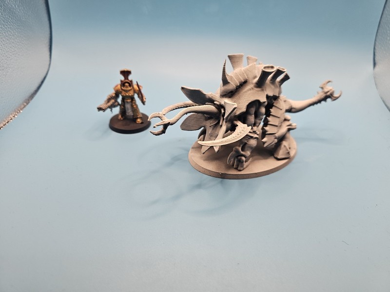 Grimdark wargaming 40k likes Tyrant Space Bugs Omen Reader Miniature x1