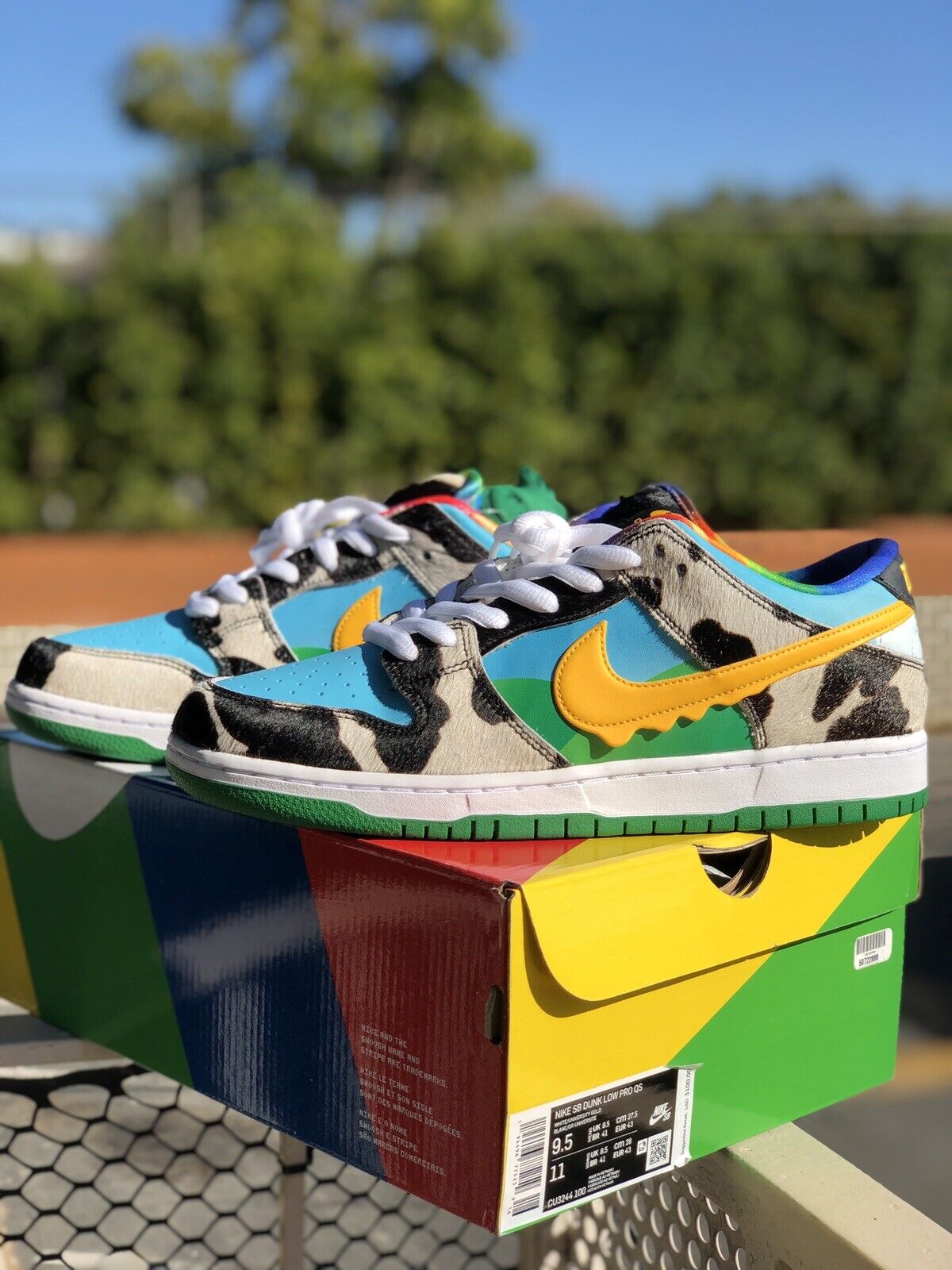 Size 9.5 - New - BEN & JERRY'S Nike SB Dunk Low Pro Chunky Dunky