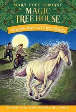Mary Pope Osborne A.G. Ford Windy Night with Wild Horses (Paperback)