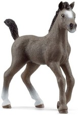 Z Schleich Cheval de Selle Francais Foal 13957  Anywheres a Playground