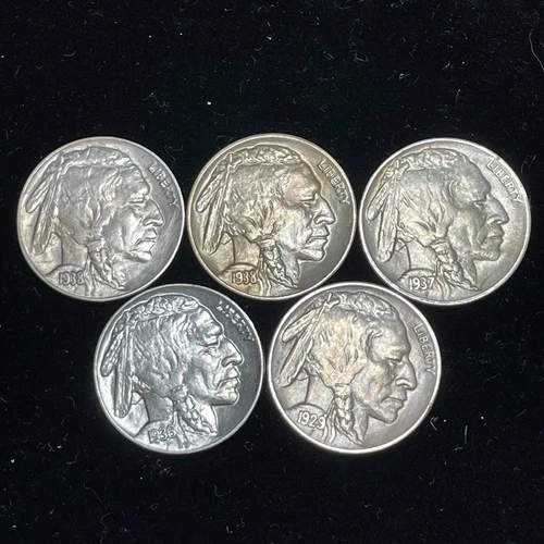Lot of 5 Buffalo Nickels High End High Grade Multiple Uncirculated Nice!