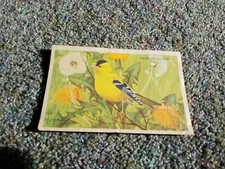 Vintage Loma Linda Food Bird Advertising Cereal Trade Card American Goldfinch