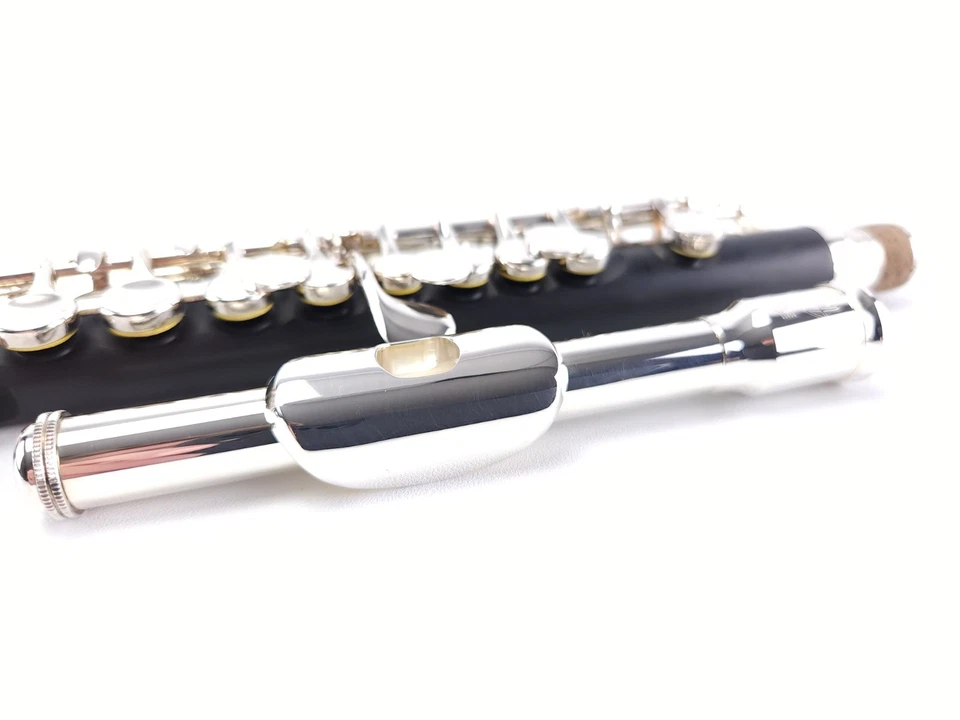 Acento compuesto reacondicionado principiante estudiante Piccolo PC512P + garantía Foto 3 de 4