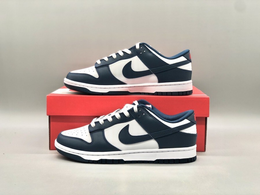 nike dunk bleu valerian