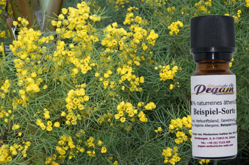 PEGAM ÄTHERISCHE ÖLE 100% naturreines ätherisches Cassiaöl,Kassia,Cinnamomum aromaticum, China, 10 ml