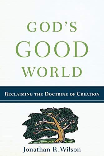 Gods Good World by Jonathan R Wilson PAPERBACK - Image 7