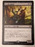 Gilt-Leaf Winnower - Japanese Origins - Magic the Gathering MTG Nice!