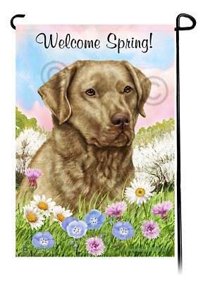 Welcome Spring Garden Flag - Dead Grass Chesapeake Bay Retriever