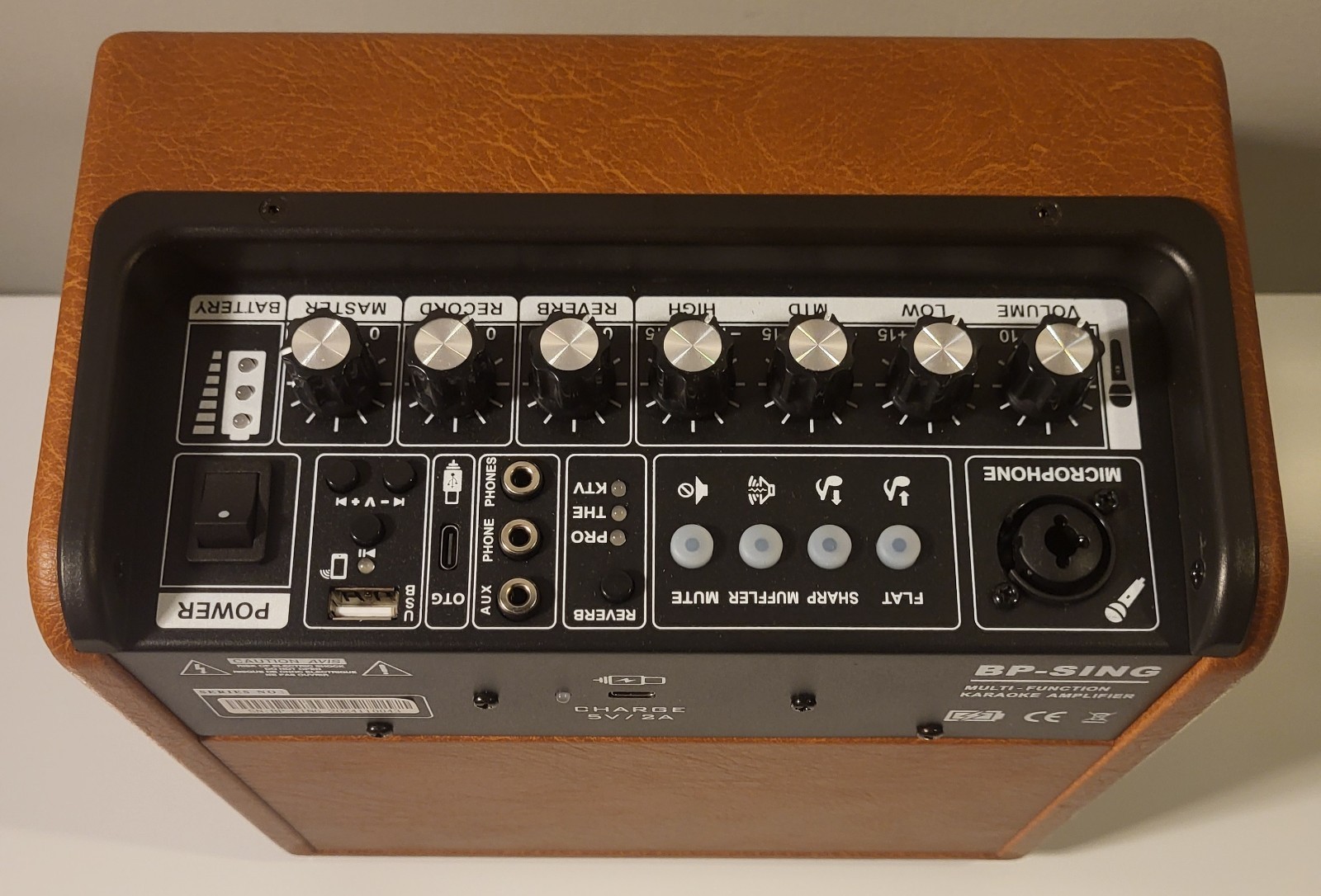 Coolmusic Professional Karaoke Machine Guitar Amplifier with 1 Microphone, Po...