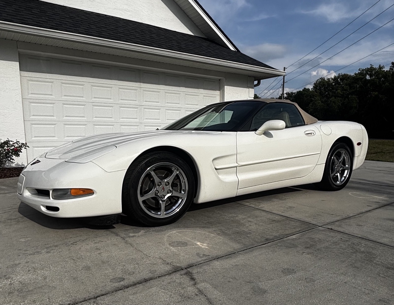 2001 White Chevrolet Corvette   | C5 Corvette Photo 5