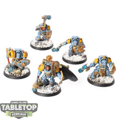 Space Wolves - 5x Wolf Guard Terminators klassisch - bemalt