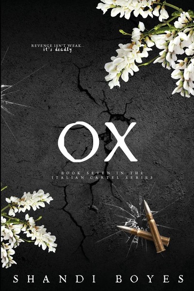 Ox - Discreet Shandi Boyes Taschenbuch Englisch 2024 Skye High Publishing-image