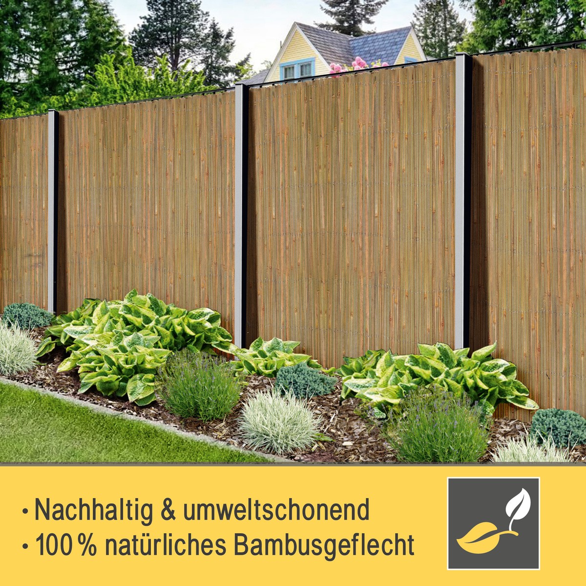 winterharte bananenpflanzen kaufen Bananenpflanze Musa Basjoo – 4 Pflanzen – Winterhart – Topf Ø12 cm, main image 0