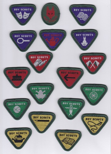 British SCOUTS WOLF CUB SCOUT 