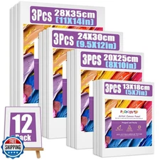 PUOPOSTY 12 Value Pack Stretched Canvases for Painting, Multi-Size (5x7, 8x10