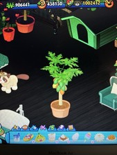 Webkinz Original Classic Game. Papaya Patio P...