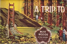 1950's Muir Woods National Monument Color Photos Folder