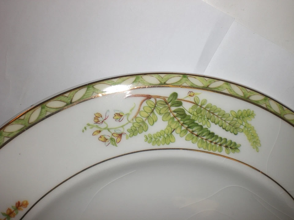 Plato de cena de cerámica Arte Itálica 11" con diseño de hierbas frescas JUEGO DE 2 IMPERFECTOS Foto 3 de 4