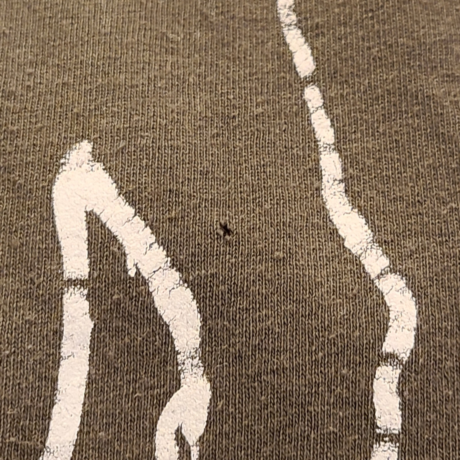 Picture 6 of 11