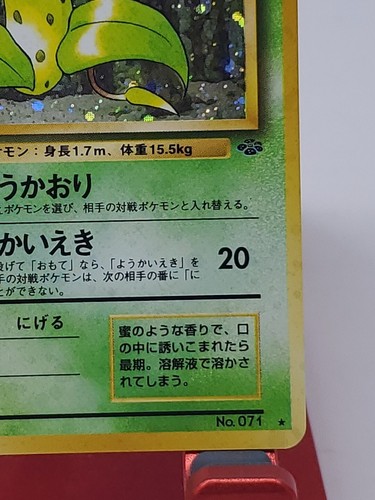 Victreebel Jungle Holo Rare Japanese Unlimited Pokemon Card No. 071 WOTC - LP - 第 5/12 張圖片
