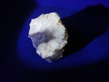 fluoreszierende Normalstufe Calzit, Solnhofen, UV, Kalzit, Feldspat, Mineral