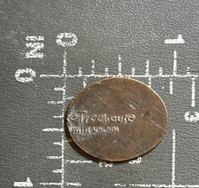 H-E-B Science Treehouse of the Witte Museum San Antonio Elongated Pressed Penny