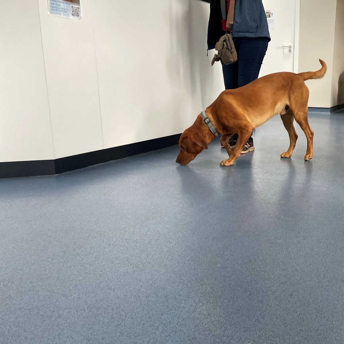 Non slip cheap vinyl flooring