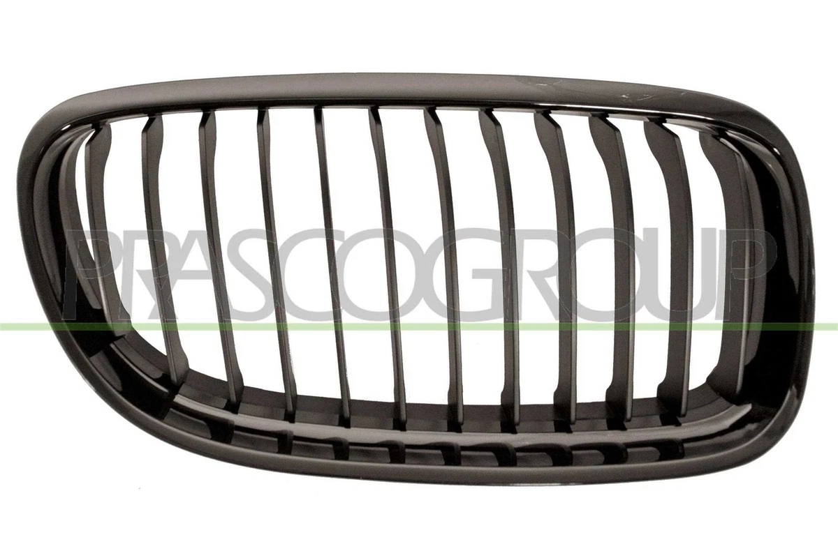 Grille de radiateur BM0262023 PRASCO pour BMW