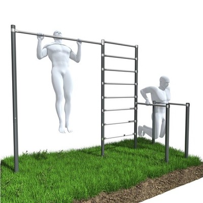 QLS Street Workout Set ZO6-60 Klimmzugstange & Dip-Station Sprossenwand Outdoor
