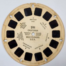 Wild Flowers California 291 View - Master Reel