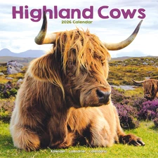 Highland Cows 2026 Wall Calendar by Avonside, Plastic Free Pack, 11.6" x 23.2"