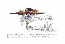 Maltese M - CUSTOM MATTED - German Dog Art Print - NEW