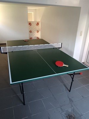 Tischtennisplatte Klappbar mit Rädern und Netz