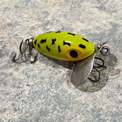 Fred Arbogast Jitterbug Topwater Insect 2 1/2'' 1/4 oz Rattle Yellow/Blk/White