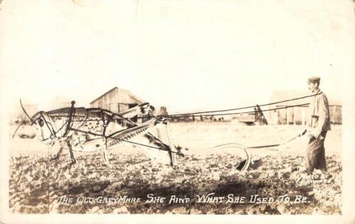 RPPC ""Old Grey Mare"" Riesenheuschrecke Übertreibung Landwirtschaft Vintage Postkarte - Bild 1 von 2