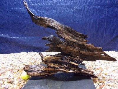 X-Large Driftwood Mounted on Slate 15''x18''x09'' Aquarium Reptile Natural Art