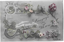 Old postcard old language of flowers landscape iron