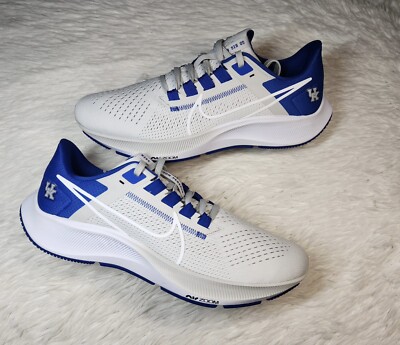 Nike Air Zoom Pegasus 38 University Kentucky Wildcats NCAA Grey