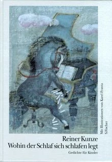 Wohin der Schlaf sich schlafen legt von Kunze, Re... | Buch | Zustand akzeptabel - Bild 1 von 2