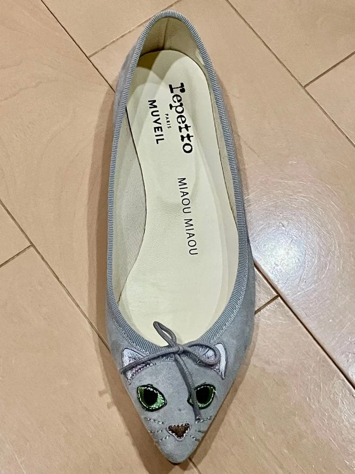 Repetto MUVEIL Gato Pisos Gamuza Gris EU38/US8 Linda Suela Usada Auténtica Popular de JP Foto 3 de 4