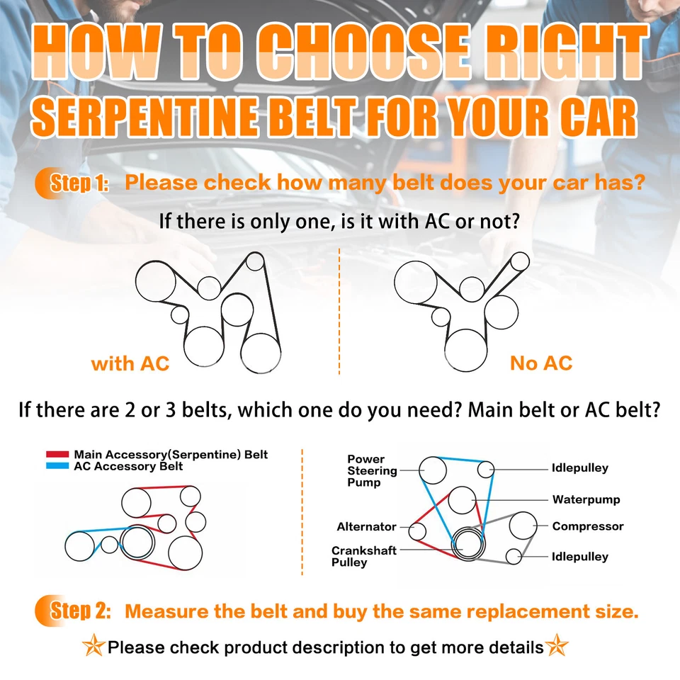 Nueva transmisión por correa Serpentine para Oldsmobile Cutlass Supreme Base V6 3,1 L 1993-1995 Foto 2 de 4