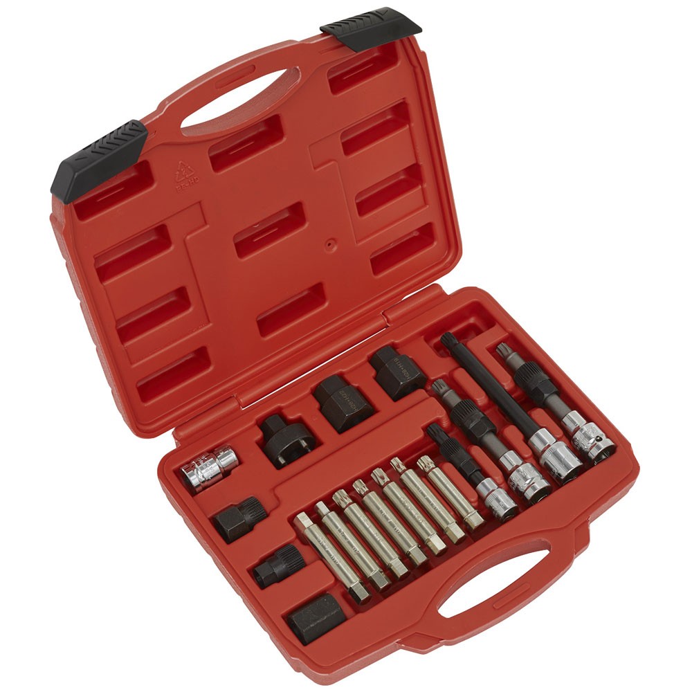 Sealey Alternator Freewheel Pulley Removal Set 18pc