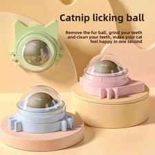 Catnip Ball Cat Toy Bite-Resistant Fun for Kittens, Relieves Boredom