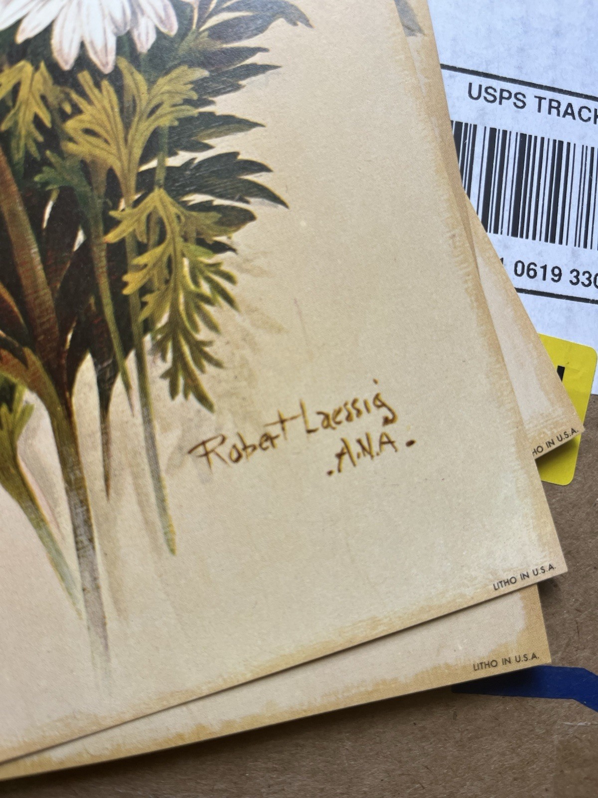 Vintage Botanical Lithograph Trio Retro Orange Yellow Florals Robert Laessig 14”